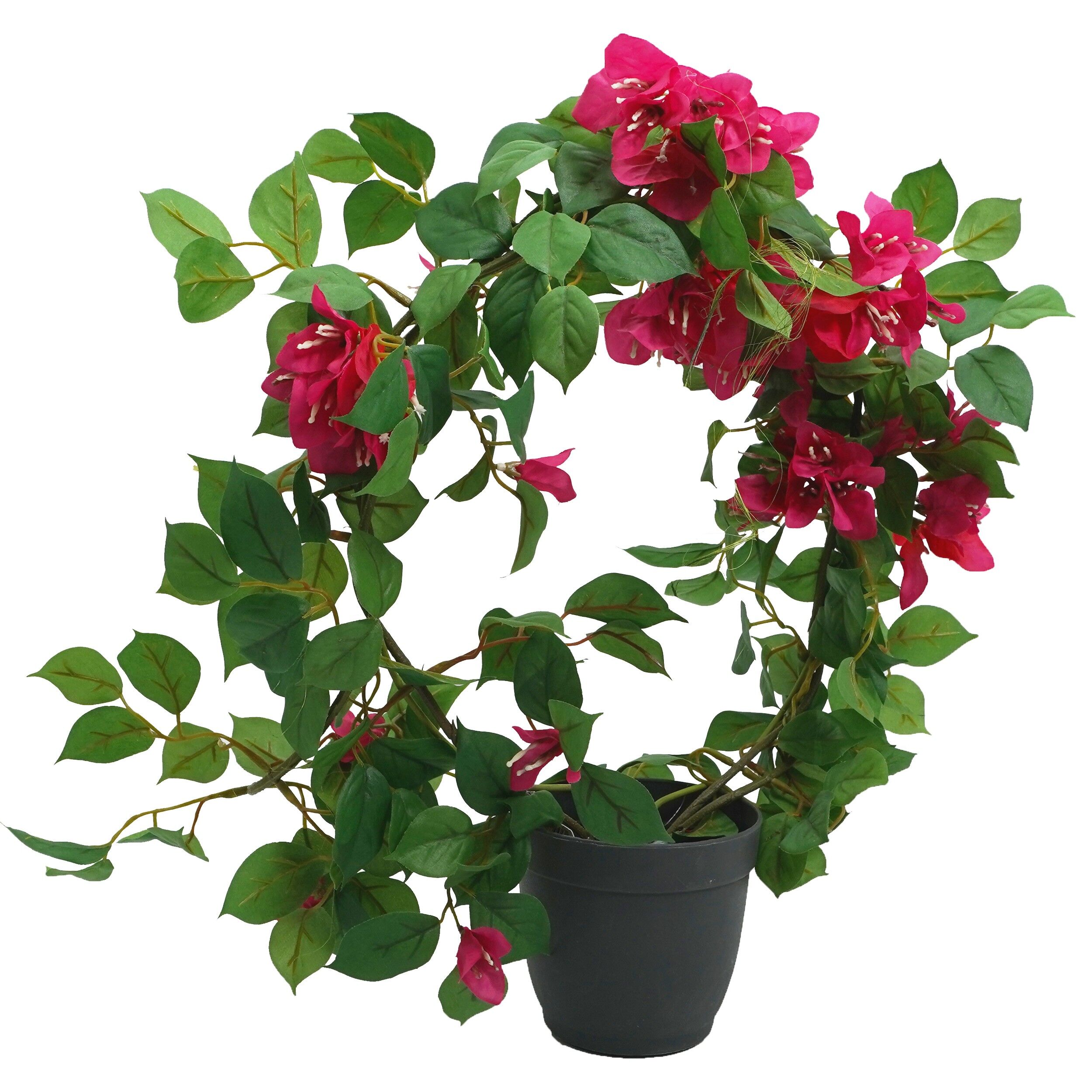 Flori Glabra cu ghiveci, Deco Flower Power, 45 cm, 39608
