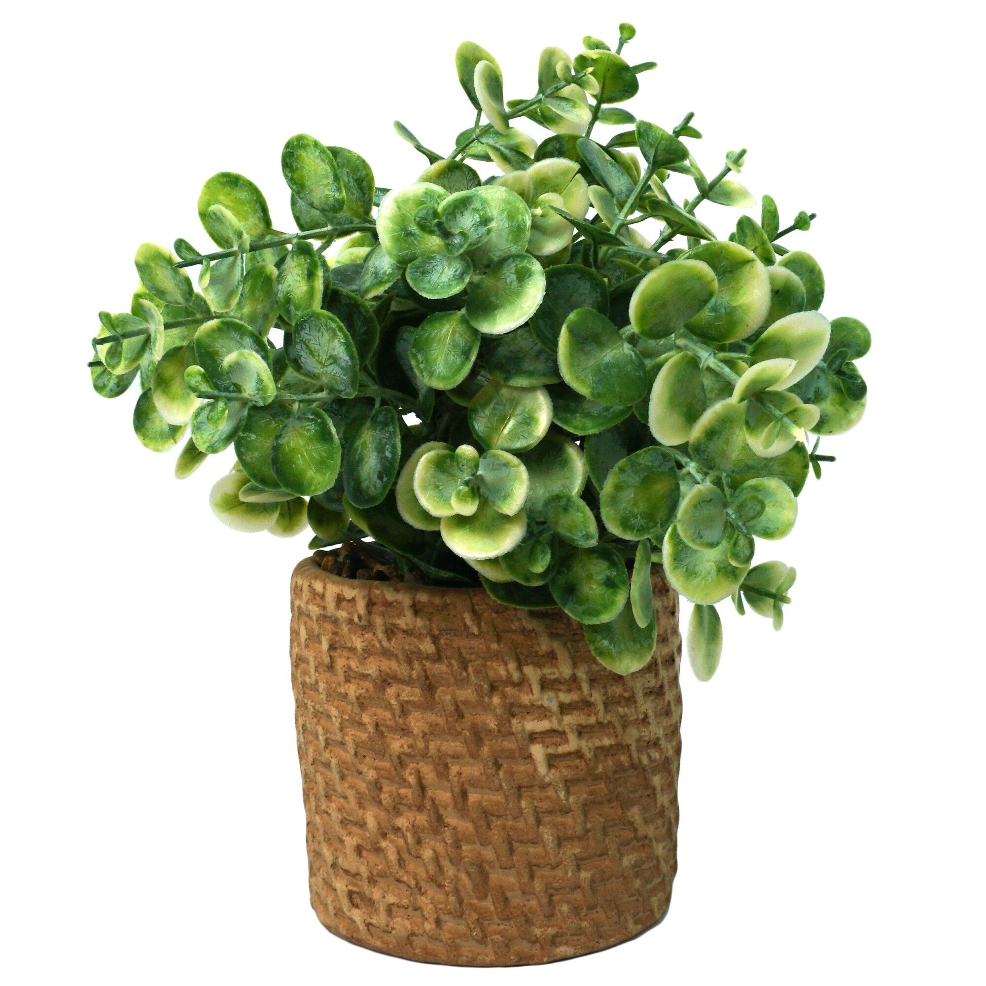 Planta artificiala, eucalipt, in ghiveci din ceramica, 25cm, 806914